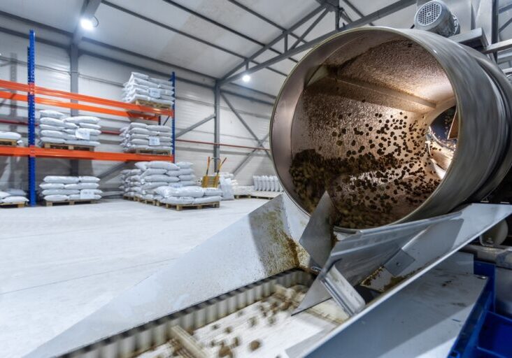 Dog,Food,Production,,Dry,Food,Conveyor