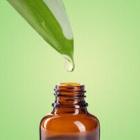 Plant Oil Extraction