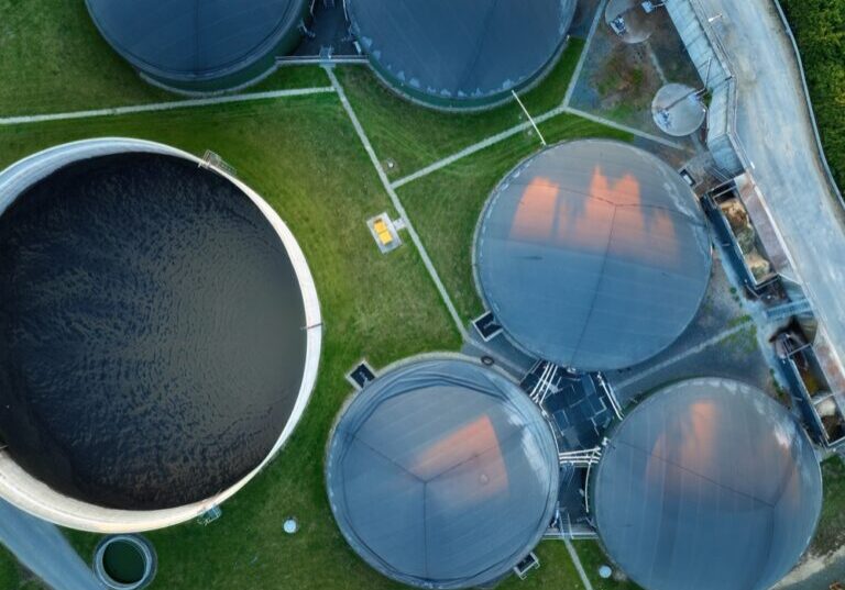 Vertical,View,Of,The,Process,Components,,Fermenters,And,Biogas,Storage